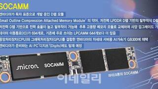 반도체 시장도 컨트롤 하려는 엔비디아
