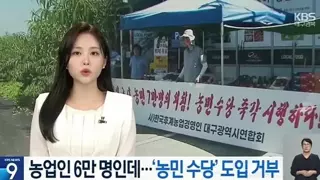 대구시 근황...