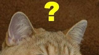 신축 2개월 된 올림픽 파크 포레온 벽에 거대한 균열 발생
