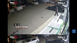 후진하다가 식당에 차량 돌진 한 사건 cctv