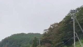 왜국 도로에서 시슴 사냥하는 곰