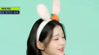살 좀 찐 장원영 가요대전 오프숄더 (아이브)
