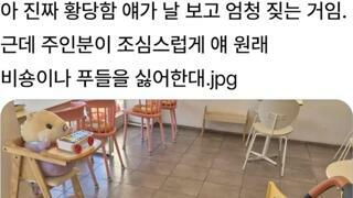 개가 엄청 짖은이유