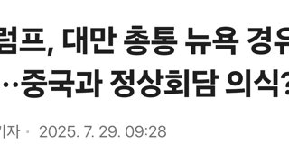 “트럼프, 대만 총통 뉴욕 경유 불허”···중국과 정상회담 의식?