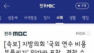 지방의회 '국외 연수 비용 부풀리기' 잇따라 포착.. 경찰 수사