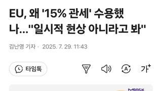 EU, 왜 '15% 관세' 수용했나…