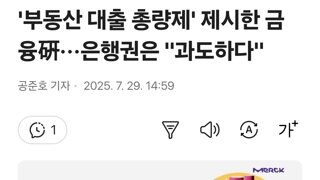 '부동산 대출 총량제' 제시한 금융硏···은행권은 