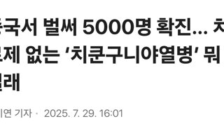 중국서 벌써 5000명 확진… 치료제 없는 ‘치쿤구니야열병’ 뭐길래