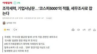 국세청의 세무조사 기사