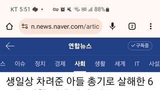 인천 송도 총격 사건, 망상 범죄로 결론