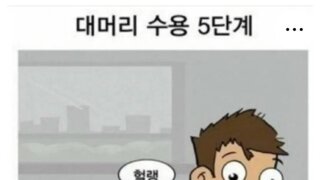 대머리 수용 5단계