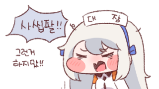 수직착륙에 실패한 F-35B