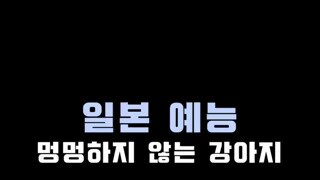 살다살다 검딱이 되네..