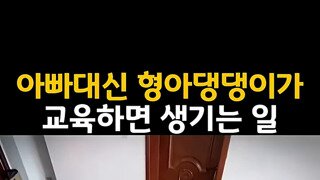 댕댕이 교육하는 댕댕이