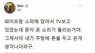 치밀한 함정을 판 와이프