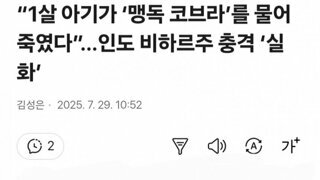 맹독 코브라 1살 아기에게 물려 사망