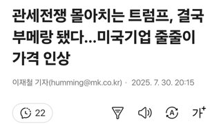 관세전쟁 몰아치는 트럼프, 결국 부메랑 됐다…미국기업 줄줄이 가격 인상