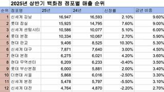 2025 상반기 백화점 점포별매출순위