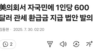 美의회서 자국민에 1인당 600달러 관세 환급금 지급 법안 발의