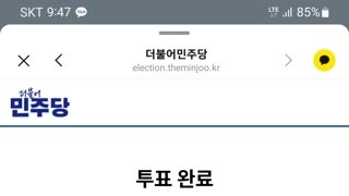 민주당 당대표 투표