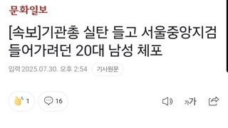 [속보]기관총 실탄 들고 서울중앙지검 들어가려던 20대 남성 체포