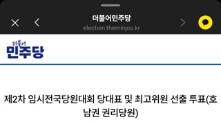 민주당 당대표 선거 및 최고위원 찬반