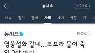 코브라 물어죽인 인도의 2살 아기