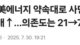EU, 美에너지 약속대로 사면 수입 3배↑…의존도는 21→70％