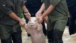 김병주...서울구치소 확인 결과 특혜 사실 확인