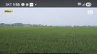 저도 잠깐동안은 정청래는 너무 쌘 케릭터라 박찬대가 낫다고도 생각했는데