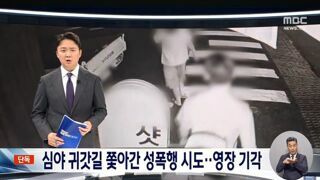여고생 성폭행 하려던 대학원생 구속영장 기각
