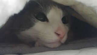 정청래 박찬대 솔직히 잘 모르겠네요(장문주의)