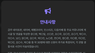 버니즈 공지 근황