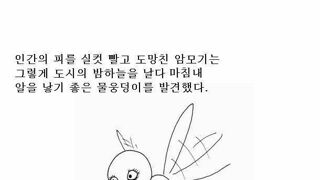 싱글벙글 어느 암컷 모기의 일생