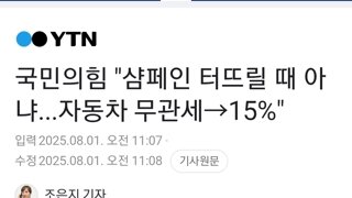 국민의힘 