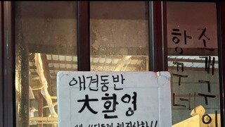애견 동반 입장의 조건