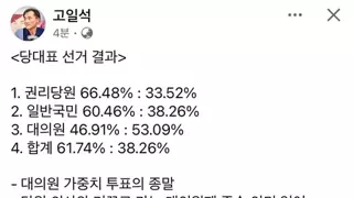 대의원제도의 문제점