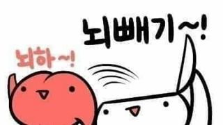 일본의 버블 붕괴   폴볼커 와 바젤 BIS 규제