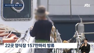 양식장 물고기 방류