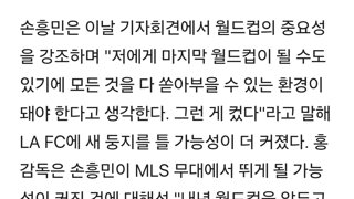 홍명보  손흥민 