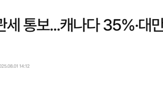 니들은 뭐 줄거 없어?