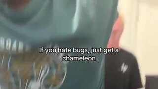 카멜레온 키우기 잘했다는 생각이 드는 순간 1위