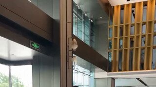 중국 여농 선수키 체감짤