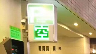 도쿄의 뒷 모습