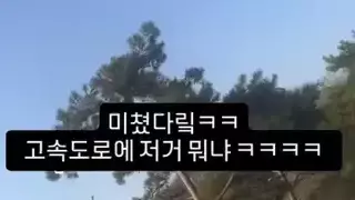 아니 고속도로에서 타조가 뛰어다닌다니 깐요