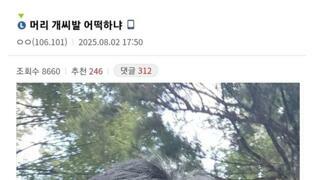 [펌]헤어갤러리 레전드 갱신 인증글