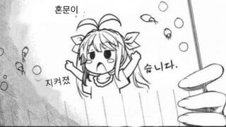 The 혼문 is sealed in 시카고 롤라팔루자