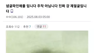 썸네일 이미지
