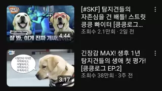 유튜브 코리아가 관심가진 정부기관 유튜브