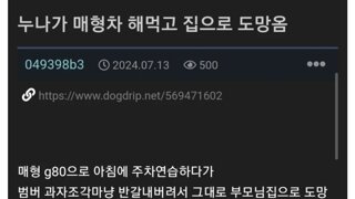 매형 G80  거하게 해먹고 도망친 친누나